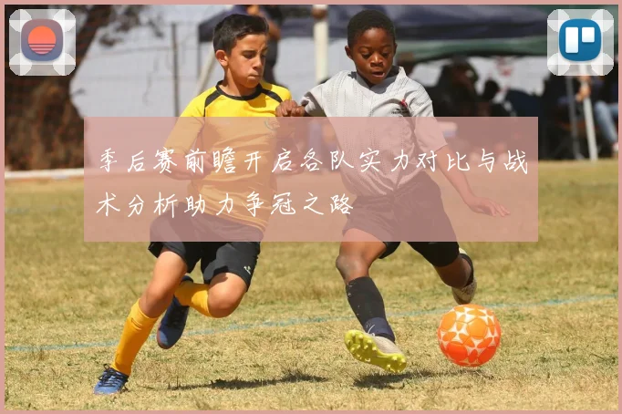 季后赛前瞻开启各队实力对比与战术分析助力争冠之路